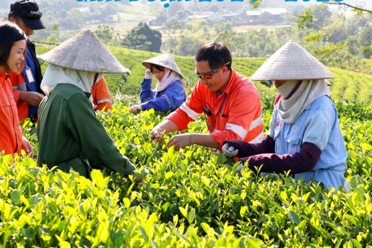 Sự lan toả từ chính sách giảm nghèo giai đoạn 2021-2025 và những kết quả quan trọng