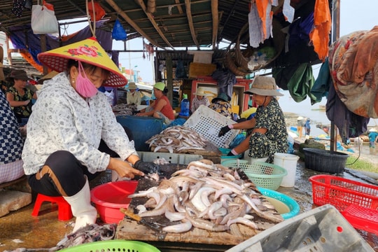 19 xã đặc biệt khó khăn vùng bãi ngang, ven biển, hải đảo đã thoát nghèo