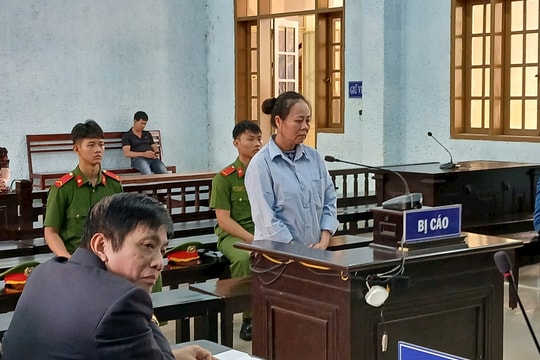 Lừa đảo chiếm đoạt hơn 4,6 tỷ đồng, người phụ nữ lĩnh án hơn 12 năm tù