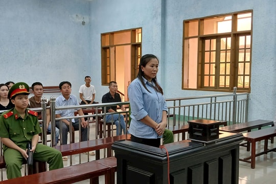 Tham ô hơn 200 triệu đồng của công ty để tiêu xài, kế toán trưởng lãnh án