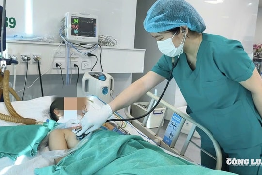 Bé gái 11 tuổi mắc bệnh dại sau khi chó cưng chết bất thường