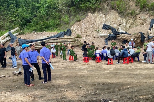 Đình chỉ sinh hoạt đảng Chi cục trưởng Chi cục Kiểm lâm tỉnh Gia Lai và các thuộc cấp