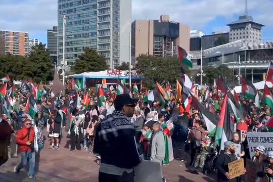 Hàng chục nghìn người biểu tình ủng hộ Palestine tại New Zealand