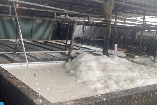 Quảng Ngãi: Nhiều xưởng chế biến mủ cao su “mọc” tự phát gây ô nhiễm môi trường