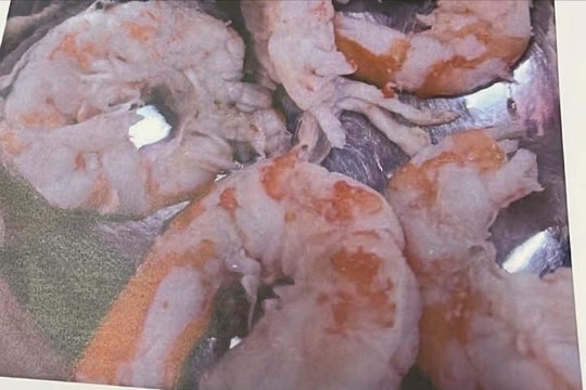 Xương heo chuyển màu xanh, thịt bò bốc mùi trong bếp ăn trường tiểu học