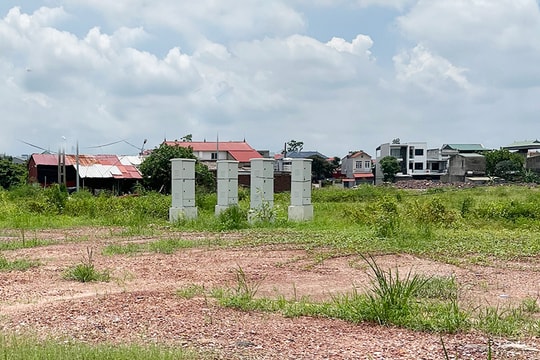 Bắc Ninh triển khai 90 ngày thực hiện chiến dịch làm sạch, làm giàu cơ sở dữ liệu đất đai