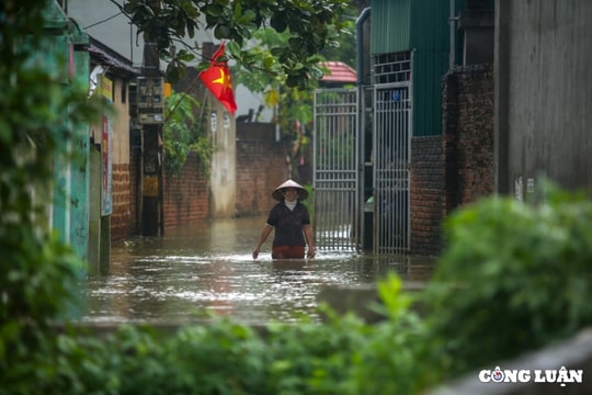 Hà Nội lập kế hoạch tổng thể cải tạo đê điều, chống lũ sông Bùi