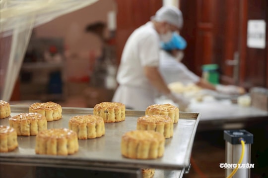 Vị bánh Trung thu xưa nơi làng nghề Xuân Đỉnh