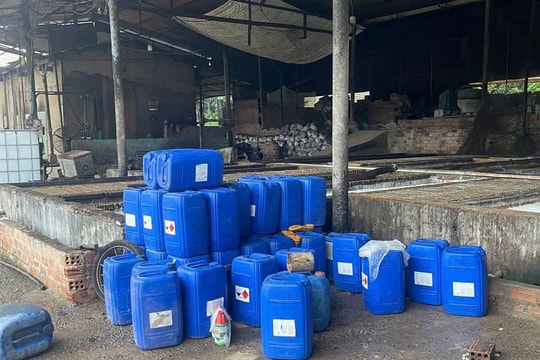 Quảng Ngãi: Xử lý nghiêm cơ sở chế biến mủ cao su “mọc” tự phát gây ô nhiễm môi trường