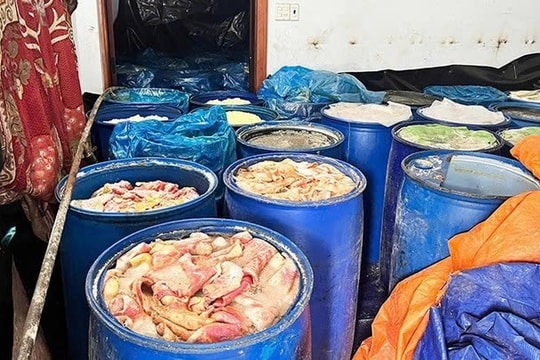 Gia Lai: Phát hiện khu chứa da, mỡ lợn bốc mùi hôi thối dùng để chế biến lạp xưởng