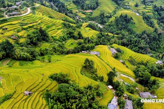 Ngắm mùa lúa chín Hoàng Su Phì trên dãy Tây Côn Lĩnh