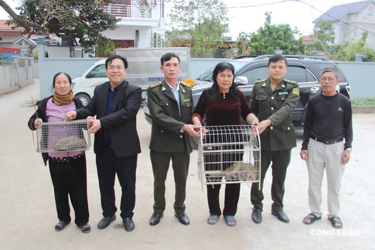 Hành trình hồi sinh: Phía sau những cuộc giải cứu động vật hoang dã của Kiểm lâm Hưng Yên
