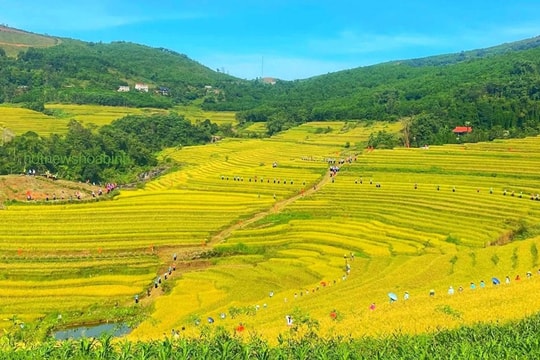 Phú Thọ tổ chức Lễ hội ruộng bậc thang Miền Đồi trong 2 ngày