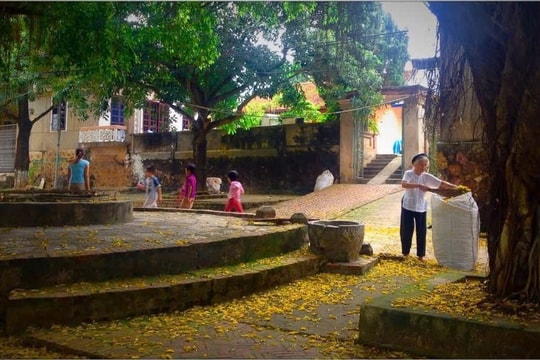 Hà Nội tăng gấp đôi mức xử phạt vi phạm môi trường từ 1/9