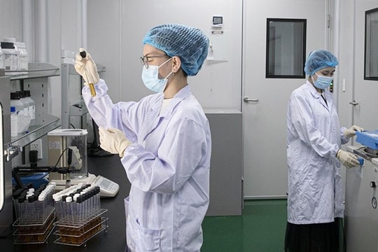 Chuyên gia khoa học, công nghệ, đổi mới sáng tạo và chuyển đổi số được hưởng nhiều chính sách đãi ngộ mới