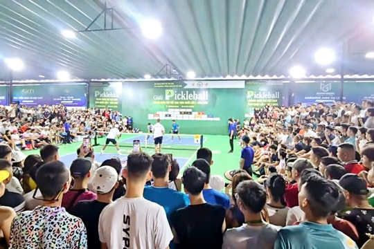 Điểm tin thể thao 18/11: Thêm Đức và Hà Lan đoạt vé World Cup, Việt Nam dẫn đầu về tỷ lệ người chơi pickleball ở châu Á