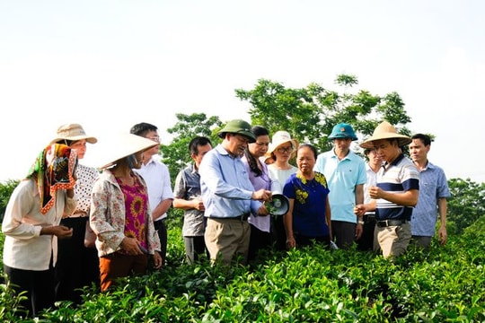 Thái Nguyên: Hỗ trợ giảm nghèo gắn với mục tiêu phát triển bền vững