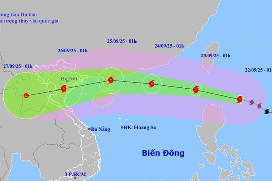 Bão số 9 mạnh tương tự bão Yagi, Bộ Công Thương chỉ đạo khẩn