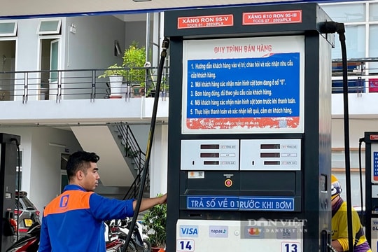 Giá xăng dầu hôm nay 23/9: Giá xăng tăng, dầu thế giới quay đầu giảm