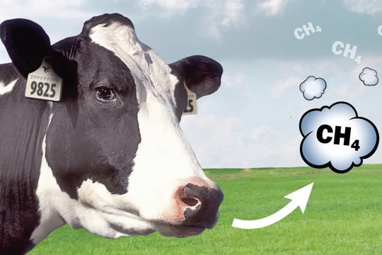 Việt Nam đặt mục tiêu giảm ít nhất 30% phát thải khí mê-tan vào năm 2030