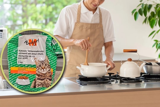 Sinh viên Trung Quốc chia sẻ phải ăn thức ăn cho mèo để học tiến sĩ tại Thụy Sĩ