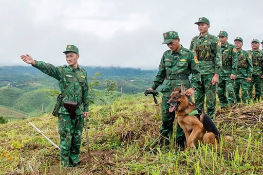 Quảng Ngãi: Người lính quân hàm xanh và cuộc chiến chống ma túy ở ngã ba biên giới