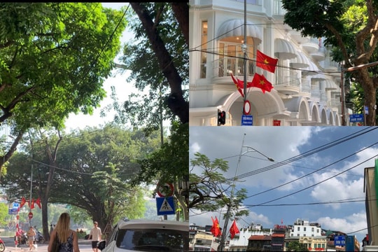 Người dân lo lắng với 'tổ nhện dây' trên phố đi bộ Hồ Gươm