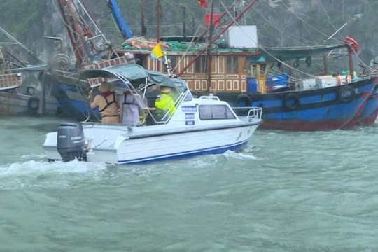 Quảng Ninh tạm dừng cấp phép tàu ra khơi do ảnh hưởng bão số 9