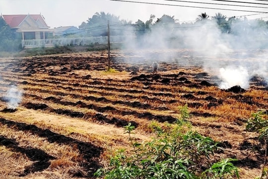 Giảm phát thải khí methan - chìa khóa để Việt Nam đạt phát thải ròng “0”