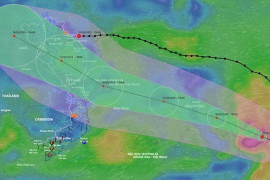 Ninh Bình: Chủ động ứng phó với bão Bualoi gần Biển Đông