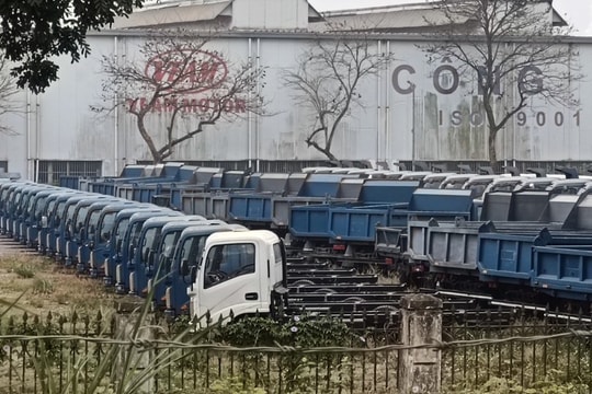 VEAM sắp đấu giá gần 1.500 ô tô tồn kho giá rẻ