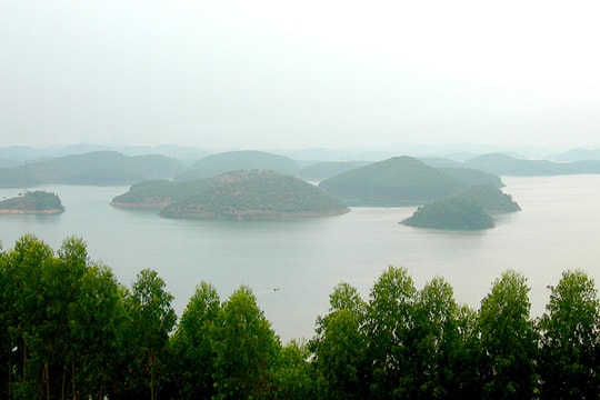 Lào Cai: Xử phạt một doanh nghiệp phá rừng tự nhiên trái phép thi công đường điện