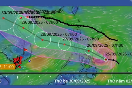 Bão Bualoi có thể mạnh lên cấp 13, dự kiến vào biển đông vào đêm mai