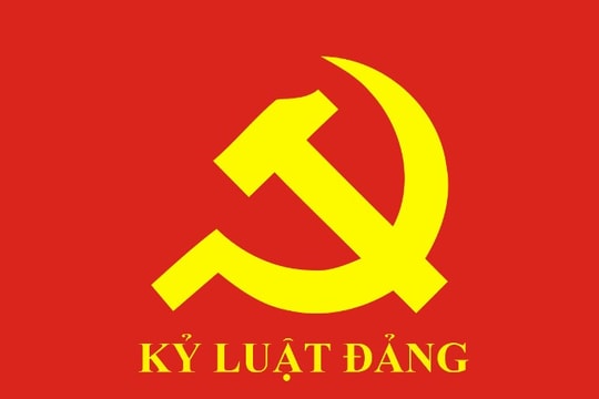 Bộ Chính trị, Ban Bí thư xem xét, thi hành kỷ luật tổ chức đảng, đảng viên vi phạm