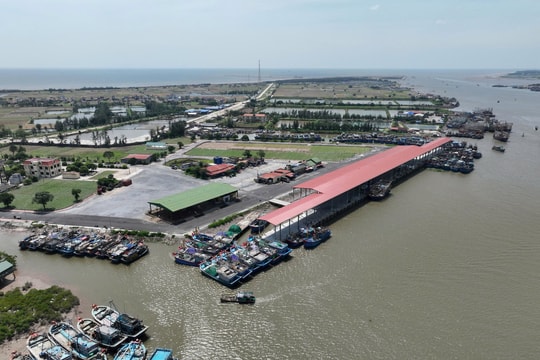 Ninh Bình: Xử lý 325 tàu cá vi phạm chống khai thác IUU, đạt tỷ lệ hơn 71%