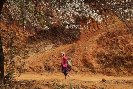 Sơn La gia hạn 5 cuộc thi về du lịch