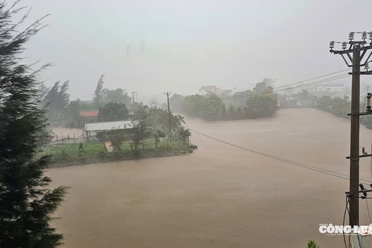 Khẩn trương ứng phó  bão số 10: Cục Quản lý đê điều và Phòng, chống thiên tai đưa ra khuyến cáo