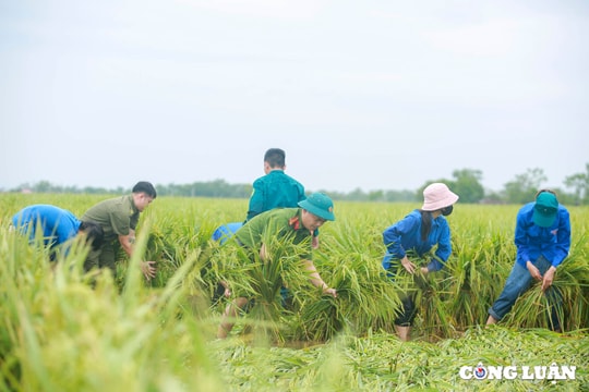 Hà Nội chủ động ứng phó mưa lớn do ảnh hưởng bão số 10