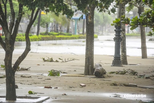 Thanh Hoá: Biển Sầm Sơn tan hoang trước bão số 10