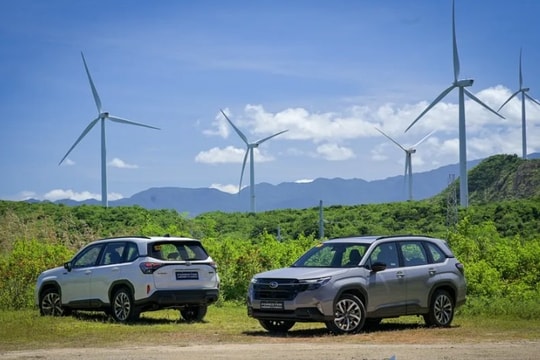 Subaru Forester Hybrid 2026 giá quy đổi từ hơn 1,1 tỷ đồng