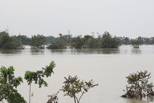 Bắc Ninh phát lệnh báo động số I trên sông Lục Nam