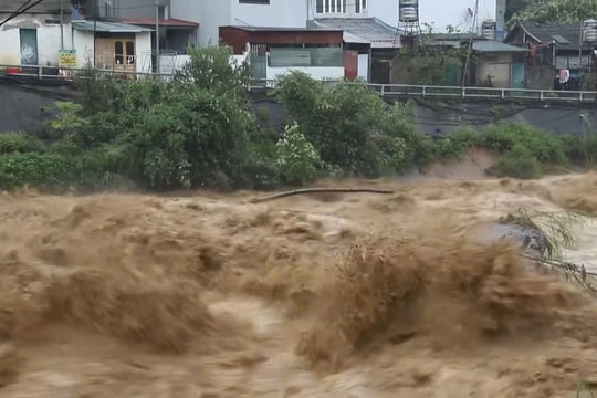Lào Cai: Mưa lũ khiến một người bị mất tích khi đang đi chăn thả gia súc