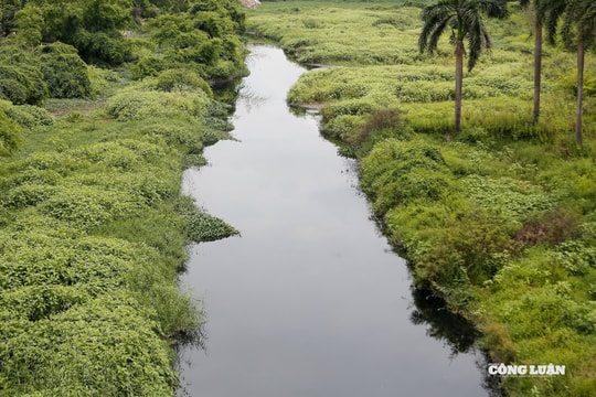 Hà Nội yêu cầu xử lý dứt điểm 220 vụ vi phạm công trình thủy lợi trước 30/10/2025