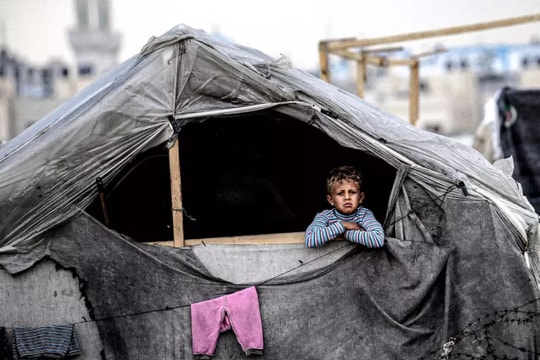 Israel và Hamas đồng ý ngừng bắn, hy vọng hòa bình được nhén lên ở Gaza