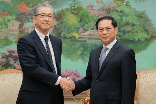 Đề nghị Tập đoàn Marubeni hỗ trợ Việt Nam hoàn thiện pháp lý về LNG, điện gió ngoài khơi