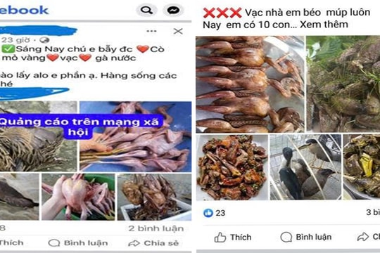 Kiểm lâm Hưng Yên: Cuộc chiến thầm lặng trên "Mặt trận" không gian mạng