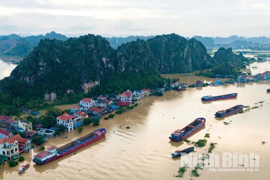 Ninh Bình: Tập trung thực hiện các biện pháp đảm bảo an toàn đê điều chống lũ, bão
