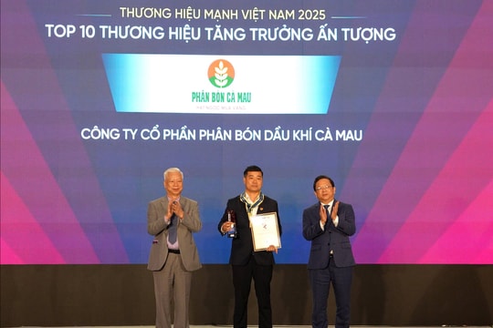 Top 10 thương hiệu tăng trưởng ấn tượng 2025: PVCFC xuất khẩu bứt phá, khẳng định vị thế tiên phong