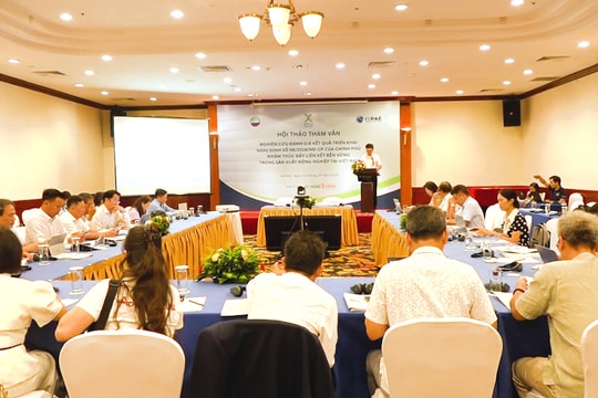 Hoàn thiện chính sách liên kết nông nghiệp: Nhìn từ thực tiễn Nghị định 98