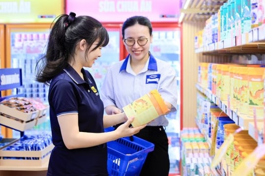 Tại sao Vinamilk đứng đầu danh sách top 25 thương hiệu dẫn đầu 2025 của Forbes Việt Nam?